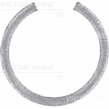 Shaft Seal, crankshaft 71-19722-00 Viktor Reinz
