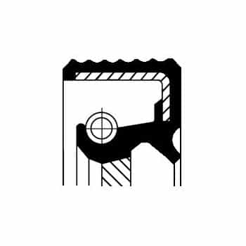 Shaft Seal, differential