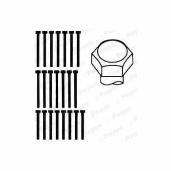 Bolt Kit, cylinder head