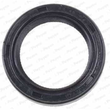 Shaft Seal, differential NK117 Payen