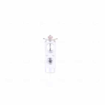 Expansion Valve, air conditioning