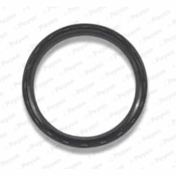 Shaft Seal, crankshaft NA5298 Payen