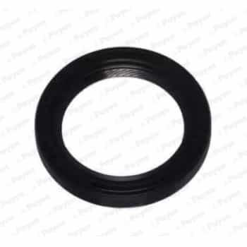 Shaft Seal, crankshaft NA5306 Payen