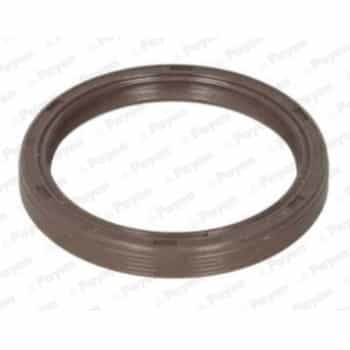 Shaft Seal, camshaft NA5310 Payen