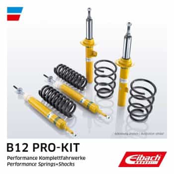 Chassis, springs / dampers