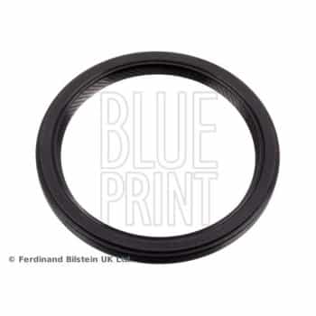 crankshaft seal