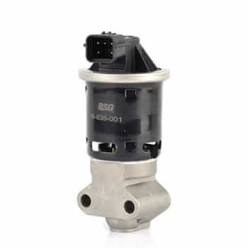 EGR valve
