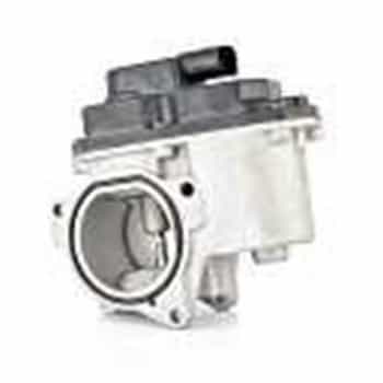 EGR valve