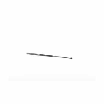 Gas spring, trunk