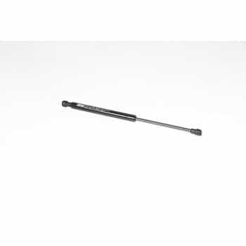 Gas spring, trunk