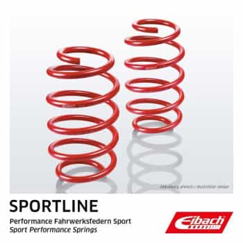 Chassis, springs
