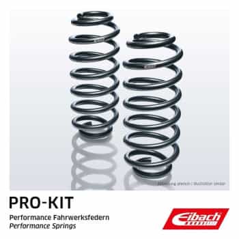Chassis, springs
