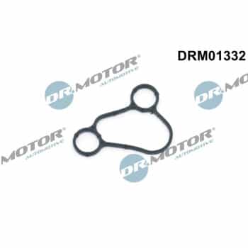Gasket, oil filter housing