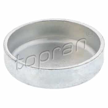 Frost Plug