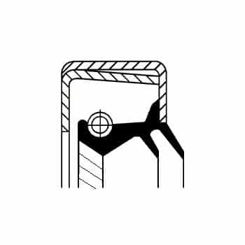 Oil seal, differential