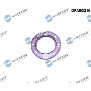 Oil seal, crankshaft
