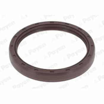 Shaft Seal, crankshaft NF776 Payen