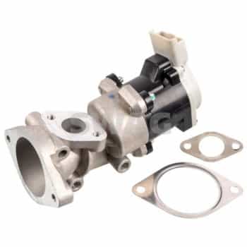 EGR valve