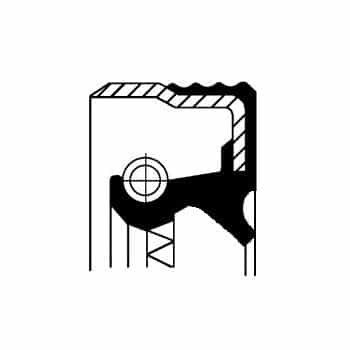 Oil seal, differential