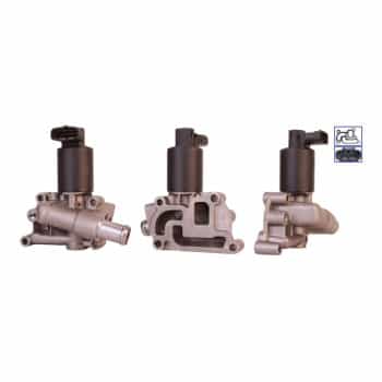 EGR valve 717720009 DRI