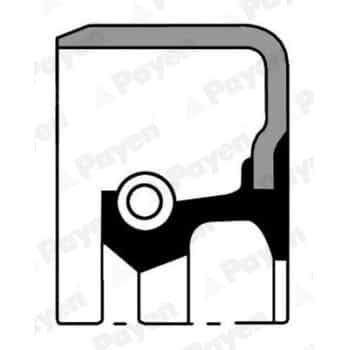 Shaft Seal, crankshaft NA5140 Payen