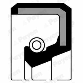 Shaft Seal, crankshaft NA869 Payen