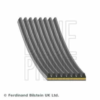 Poly V-belt AD08A1055 Blue Print