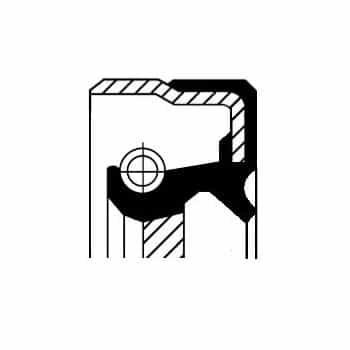 Oil seal, differential