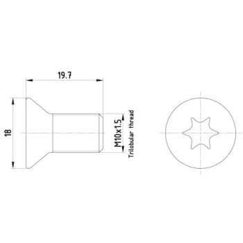 Bolt, brake disc