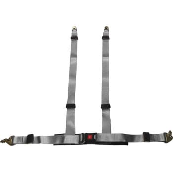 Racing Sport Belt 4-Point Silver + E-mark (2-inch)