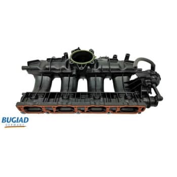 Intake Manifold Module