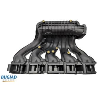 Intake Manifold Module