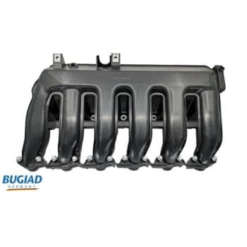 Intake Manifold Module