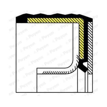 Shaft Seal, crankshaft NA5230 Payen