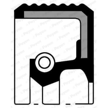 Shaft Seal, differential NF826 Payen