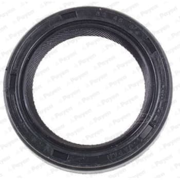 Shaft Seal, differential NK117 Payen