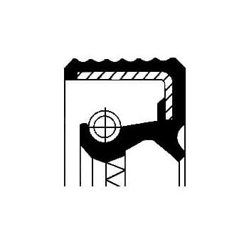 Shaft Seal, differential