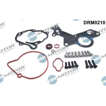 Repair kit, vacuum pump (brake system)