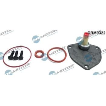Repair kit, vacuum pump (brake system)