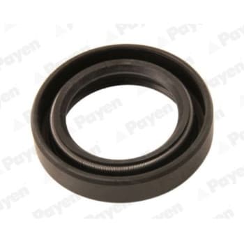 Sealing ring NJ849 Payen