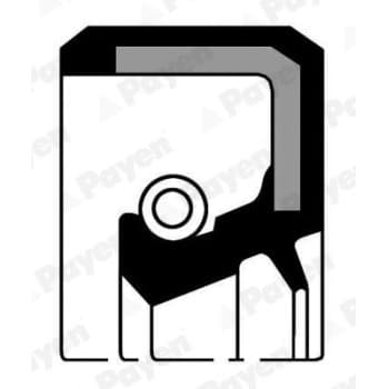 Shaft Seal, crankshaft NF722 Payen