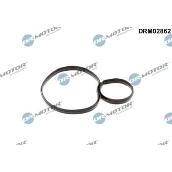Gasket, oil filter housing