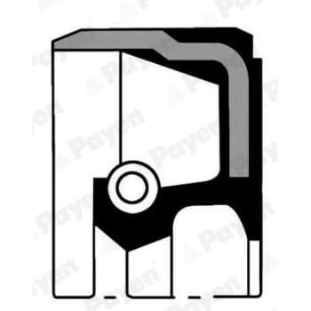 Shaft Seal, crankshaft NA5223 Payen