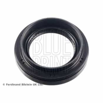 Oil seal, gear